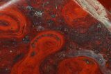 Polished Stromatolite (Collenia) - Minnesota #155576-1